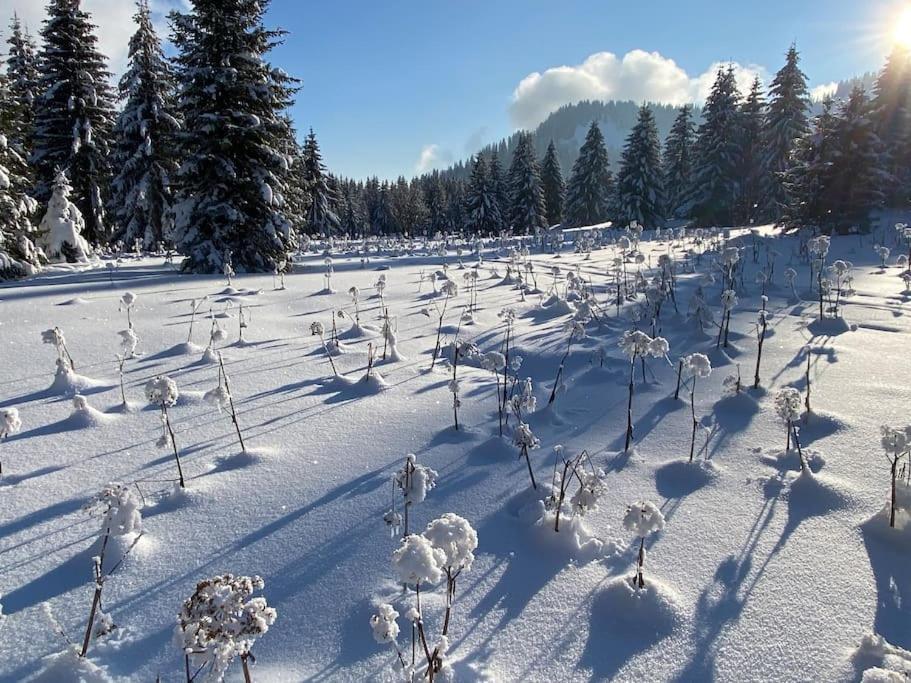 Dans Hameau, Pres Des Pistes Logement De Plein Pied Au Calme Таненж Екстер'єр фото
