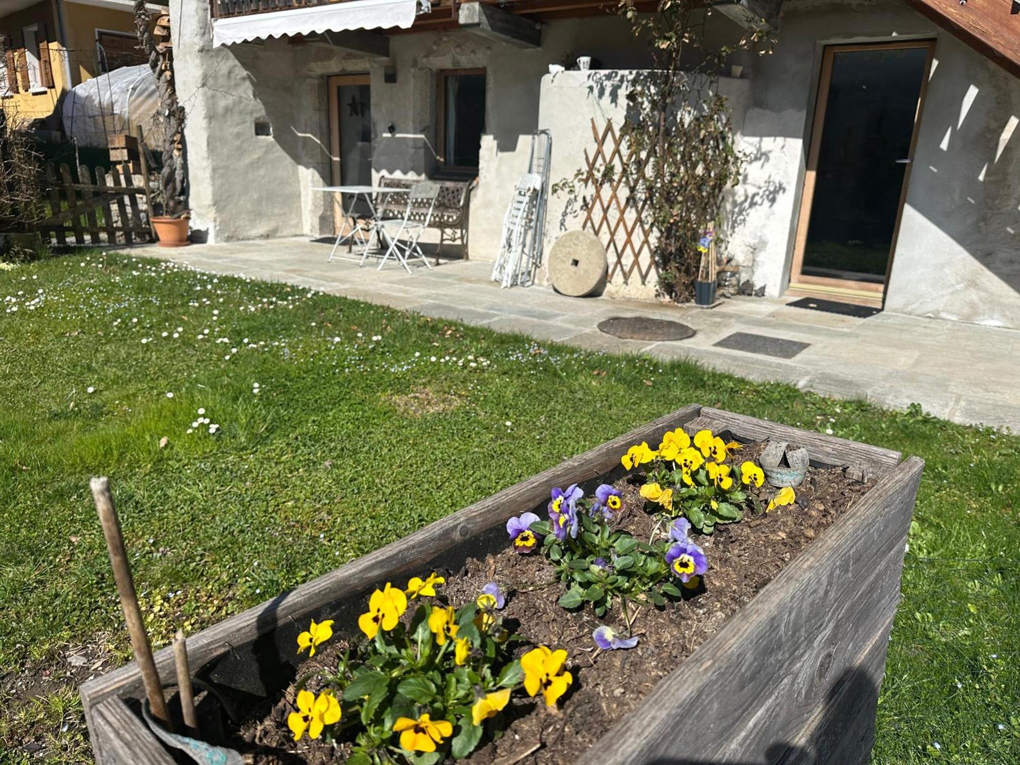 Dans Hameau, Pres Des Pistes Logement De Plein Pied Au Calme Таненж Екстер'єр фото